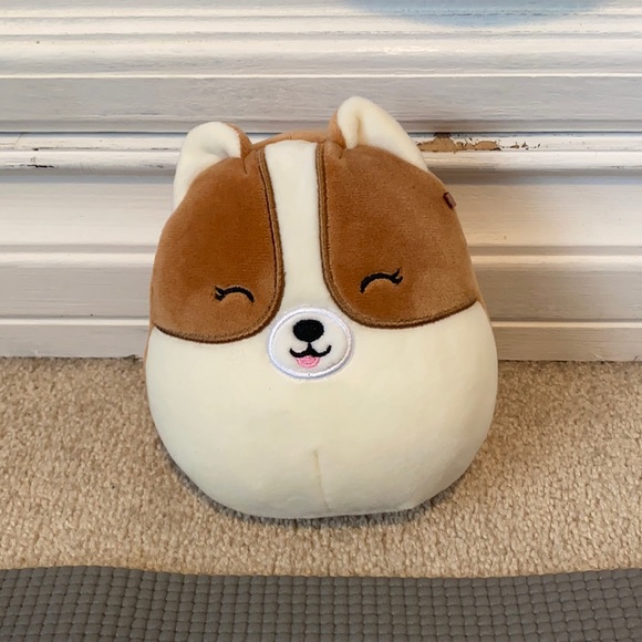 NWT Regina the Corgi Squishmallow 5”